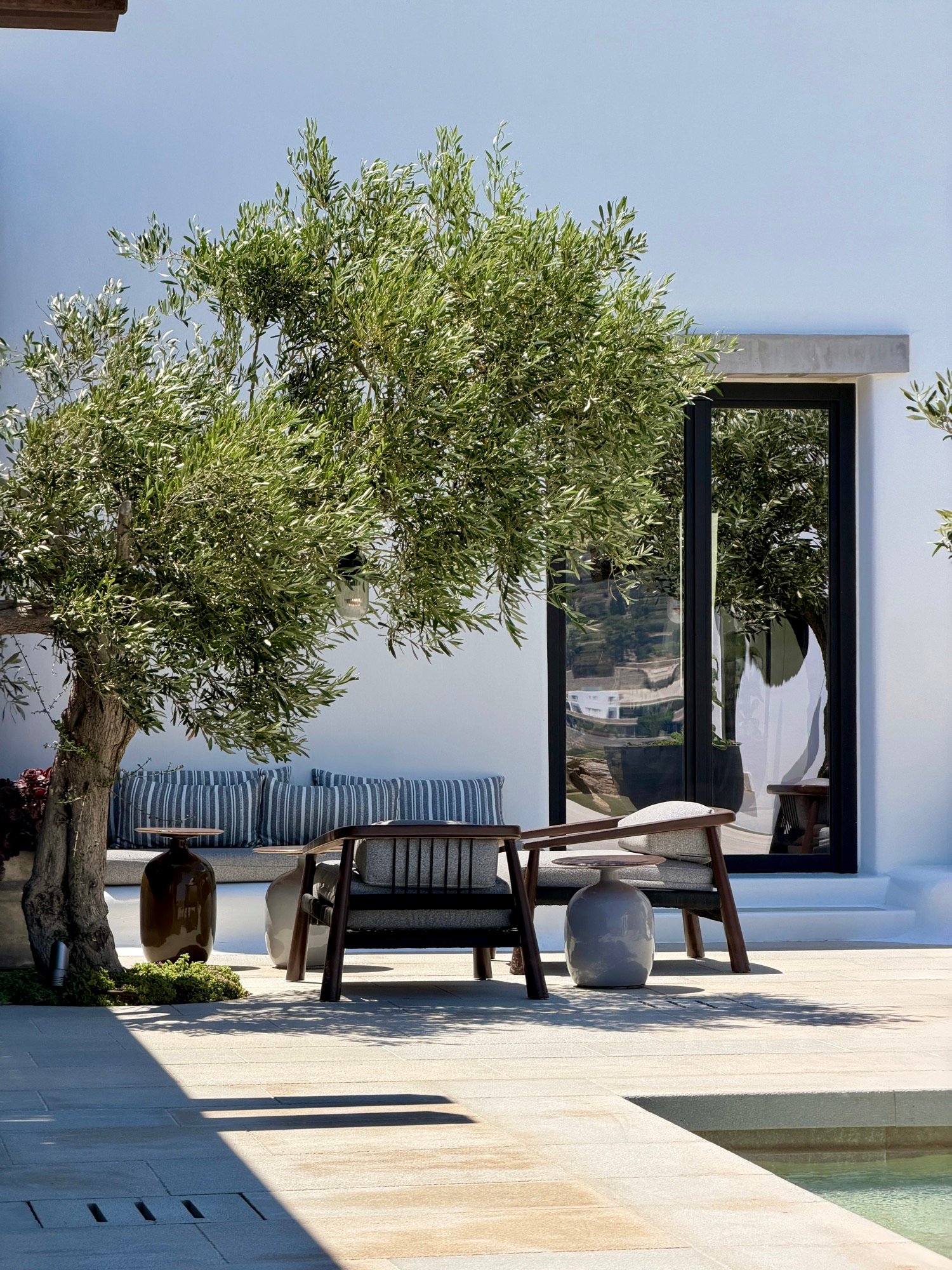 An olive tree shading lounge chairs beside a whitewashed villa and pool