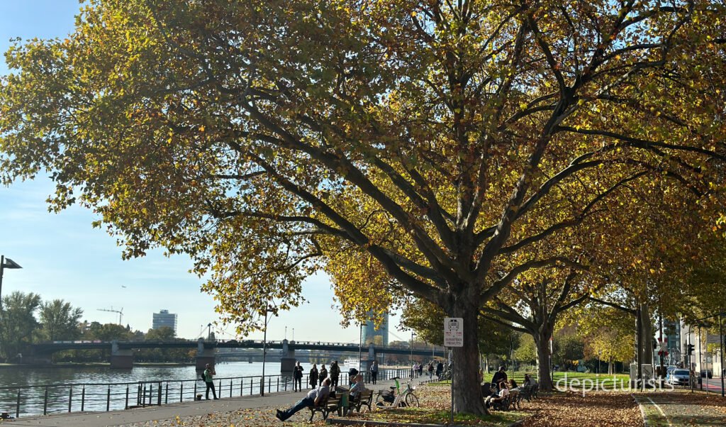 Frankfurt - Spontaneous Journey Across Europe: A BMW GS Adventure Expedition