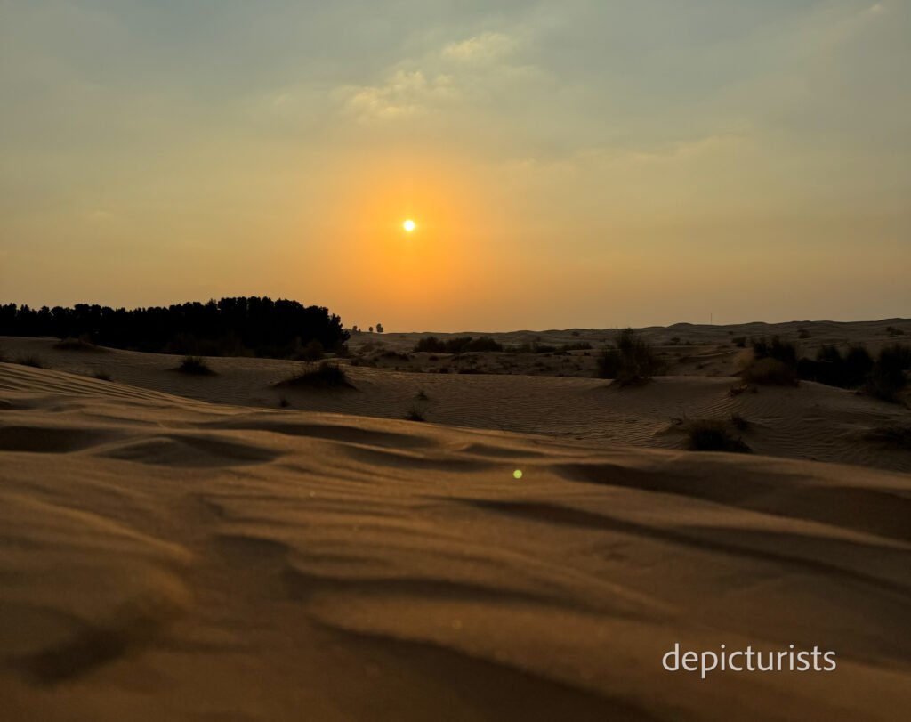 Dubai's Desert Safari