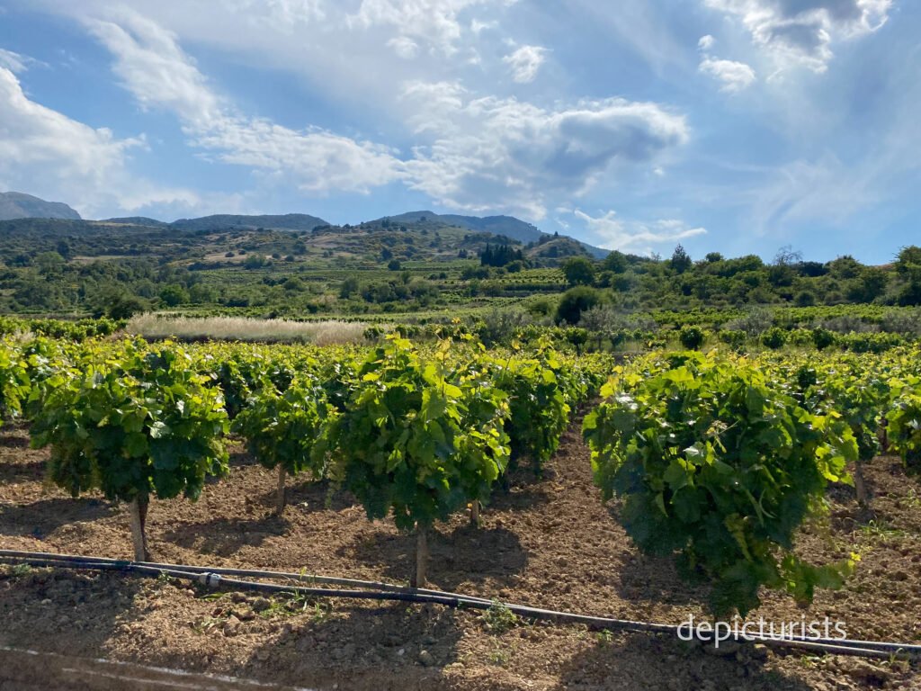 Embrace Eco-Tourism: Travel Responsibly, Leave a Positive Impact