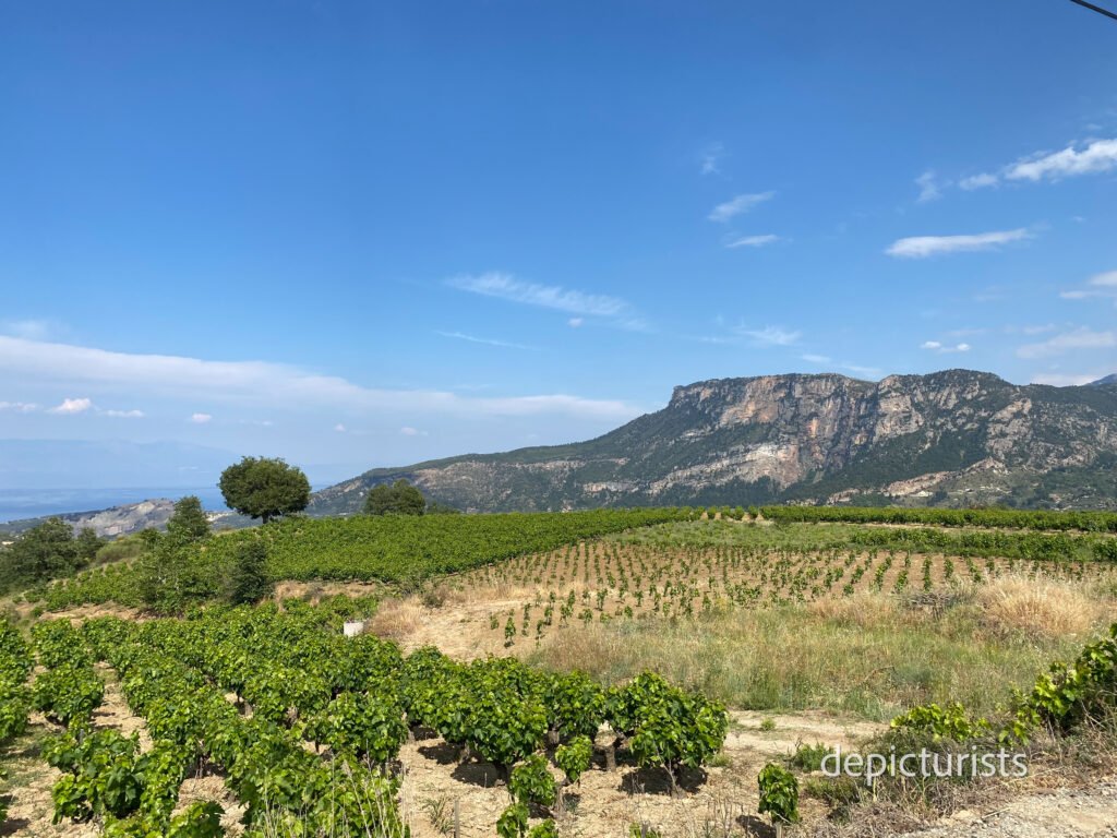 Embrace Eco-Tourism: Travel Responsibly, Leave a Positive Impact