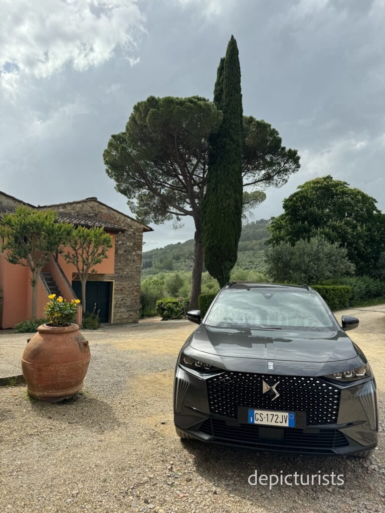 depicturists - rentaplus