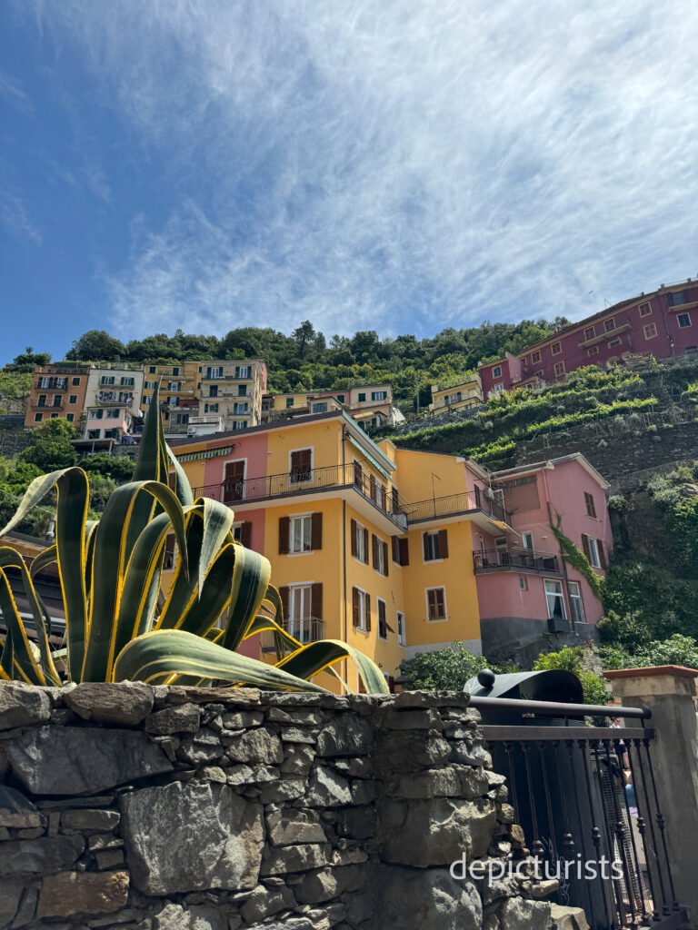 Cinque Terre-  Depicturists